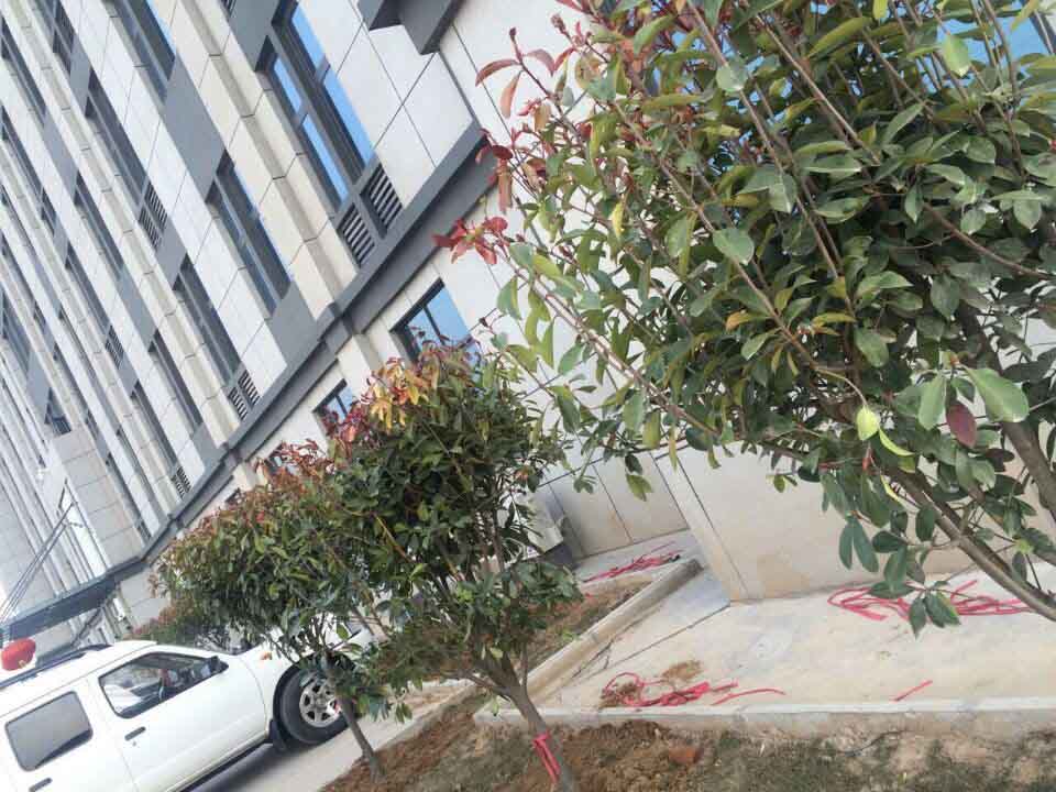 河南让球网总代理
