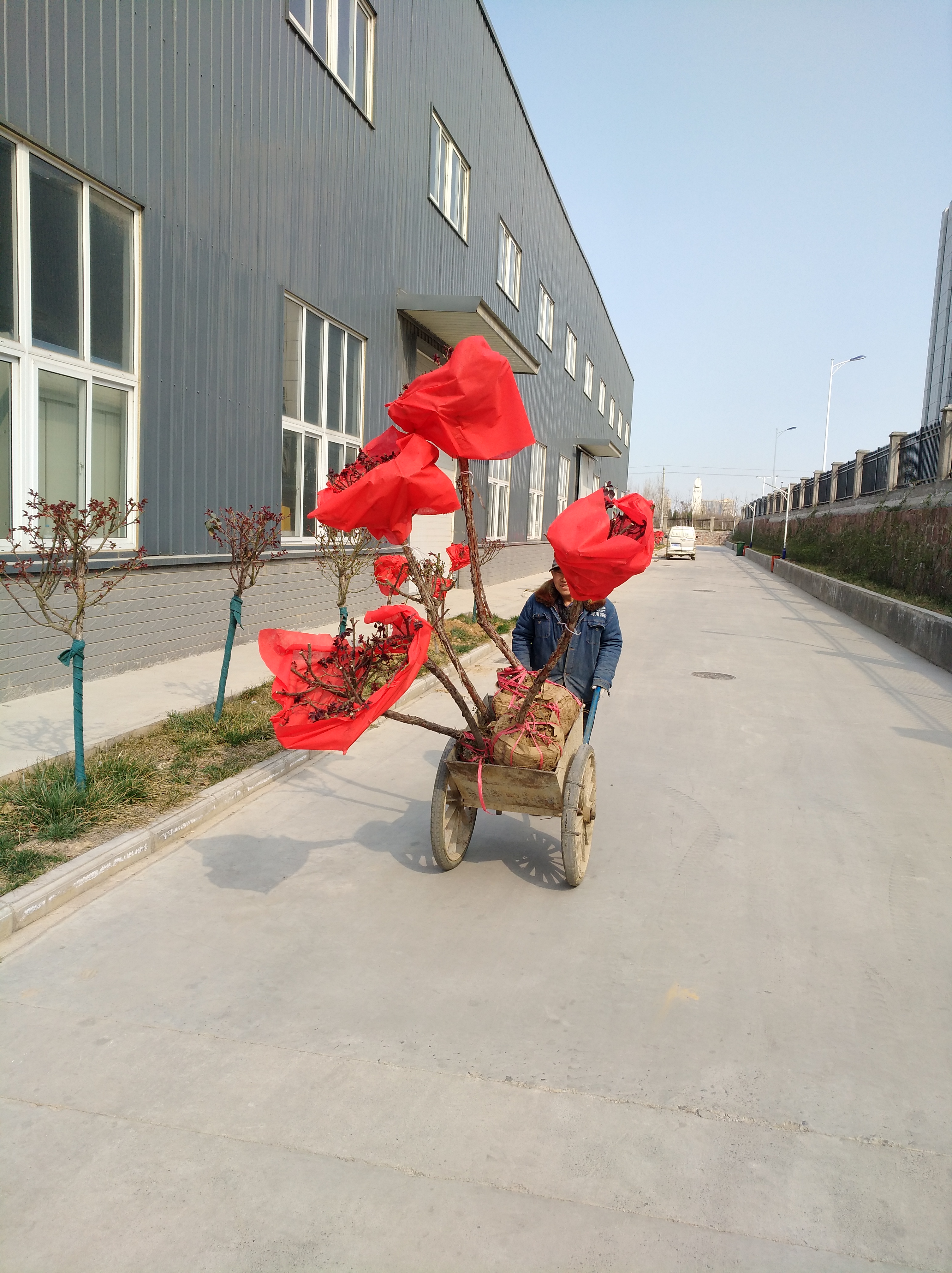 河南路友 让球网总代理