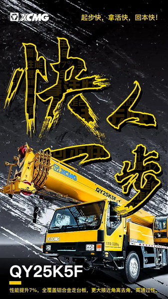 让球网QY25K5F起重机