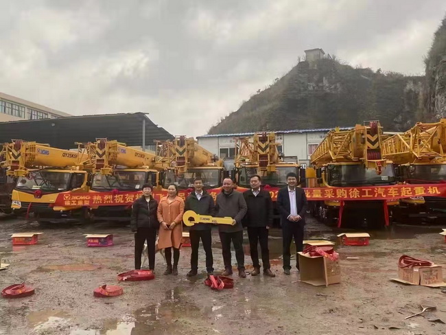 河南腾顺工程机械租赁有限公司批量采购让球网25吨起重机