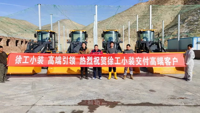 让球网小型装载机批量交付河南客户